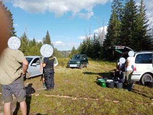 Gangy sběračů borůvek drancují lesy v NP Šumava. Strážci jim rozdali pokuty za více než čtvrt milionu korun