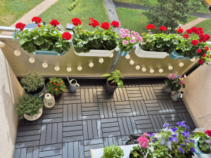 Milují květiny, tak si založili záhon přímo na sídlišti. Podobné zahrádky jsou teď velkým hitem