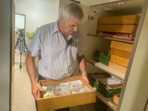 Geologové vybalují exponáty na novém pracovišti, dočasně se přestěhovali do kampusu na Bory