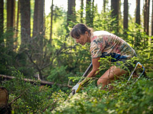 Desítky dobrovolníků pomáhaly s obnovou mokřadů a rašelinišť v Národním parku Šumava