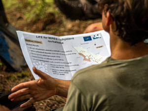 Desítky dobrovolníků pomáhaly s obnovou mokřadů a rašelinišť v Národním parku Šumava
