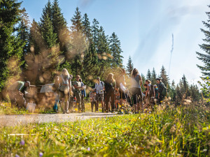 Desítky dobrovolníků pomáhaly s obnovou mokřadů a rašelinišť v Národním parku Šumava