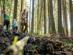 Desítky dobrovolníků pomáhaly s obnovou mokřadů a rašelinišť v Národním parku Šumava