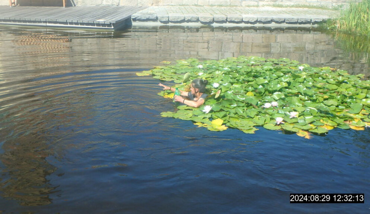 Opilá žena se pokusila strážníkům zmizet ve vodě, po zadržení putovala na záchytku.