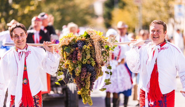 Kam o víkendu na jižní Moravě? Na vinobraní nebo na slavnosti chleba či česneku