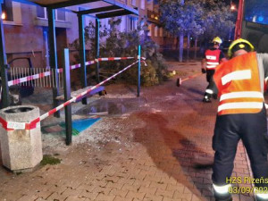 Osobák nejdříve narazil do stromu a pak vletěl do prosklené zastávky MHD, kterou zdemoloval