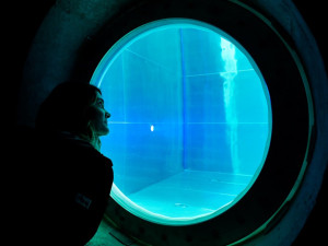 V TechTower je i obří bazén hluboký deset metrů