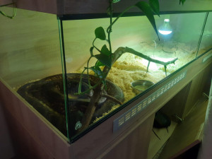 Muž měl doma celkem čtyři jedovaté hady, zdroj: Policie ČR