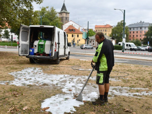 Plevel se hubí v sadovém okruhu speciální metodou za použití horké vody a kukuřičného škrobu