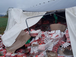 Na pole se vysypaly stovky plechovek Coca-Coly z převráceného kamionu