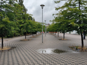 Dlažbu nahradí zeleň, obvod chystá revitalizaci prostoru před obchodním domem ve Skvrňanech