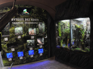 Expozice Akva Tera má nové mořské akvárium, unikátem je pomec skvělý