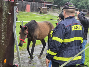 Dvě místa v Plzeňském kraji jsou na druhém povodňovém stupni. V Koterově pro jistotu převezli koně do bezpečí