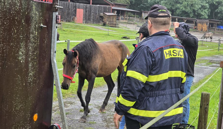 Tři místa v Plzeňském kraji jsou na prvním povodňovém stupni. V Koterově pro jistotu převezli koně do bezpečí