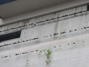 Ptáci hledali úkryt kde se dalo