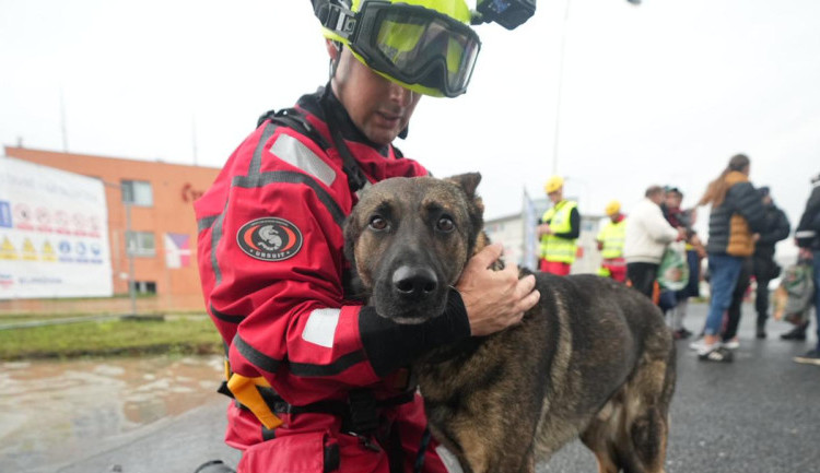 Nevolejte nám kvůli adopcím, prosí zaplavené zvířecí útulky. Chybí jim pomocné ruce, desinfekce a krmivo