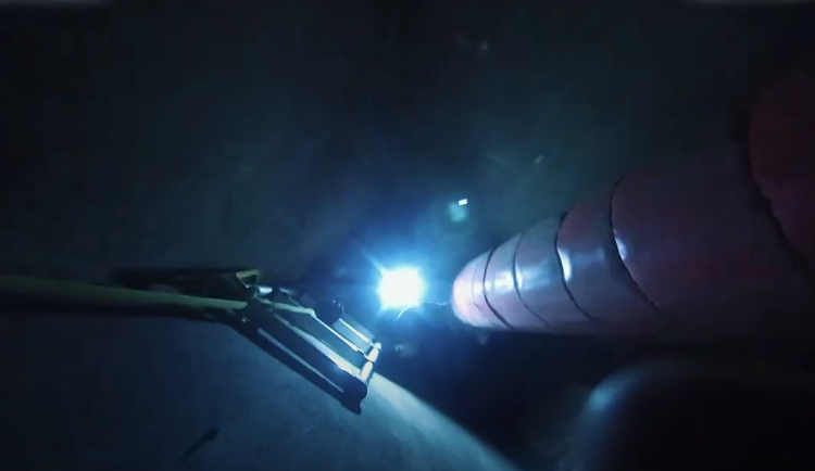 VIDEO: Kočka uvízla v hlubokém světlíku. Strážníci se k ní museli spustit po laně