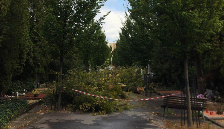 Lidé mohou opět navštívit Ústřední hřbitov v Brně. Přístupná je zatím pouze horní část u krematoria