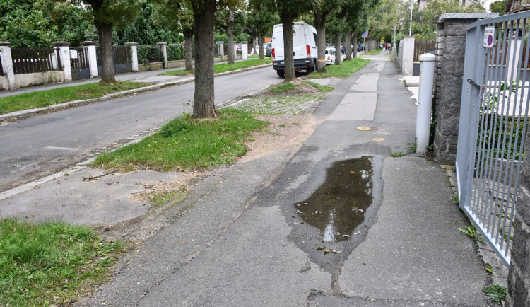 Ulice Kapitána Jaroše se dočká opravy vozovky i chodníků, dožívající jasany půjdou pryč