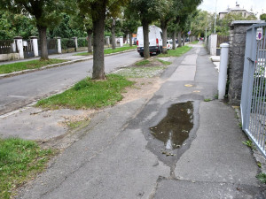 Ulice Kapitána Jaroše se dočká opravy vozovky i chodníků, dožívající jasany půjdou pryč