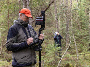 Šumavské lesy se bez lidské péče obejdou, ukazují data z bezzásahových území