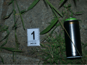 Policisté dopadli sprejery, kteří řádili na nádražích. Vagony a lokomotivy ozdobili hlavami krokodýlů