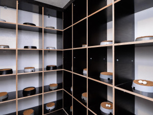 První městský holubník za 590 tisíc korun pomůže s regulací holubí populace