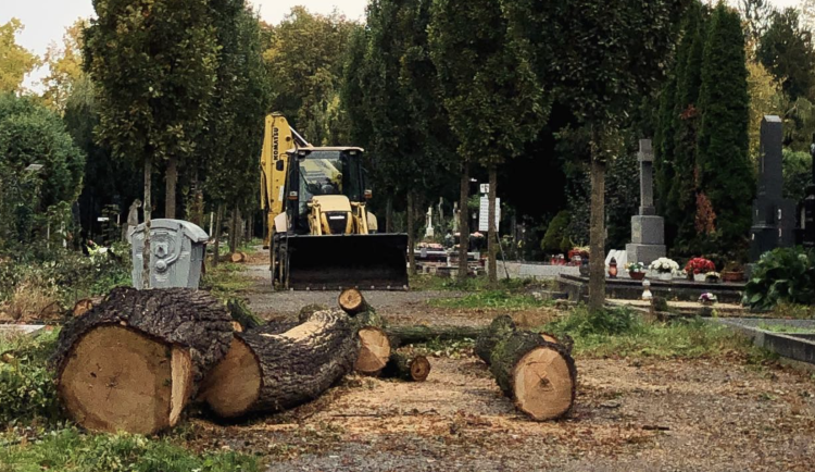 Ústřední hřbitov je ode dneška celý znovu přístupný veřejnosti. Odborníci odstranili všechny nebezpečné stromy