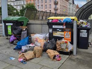 Terčem kritiky dále zůstávají kvůli nepořádku u popelnic některá místa, město jedná s podnikateli o řešení