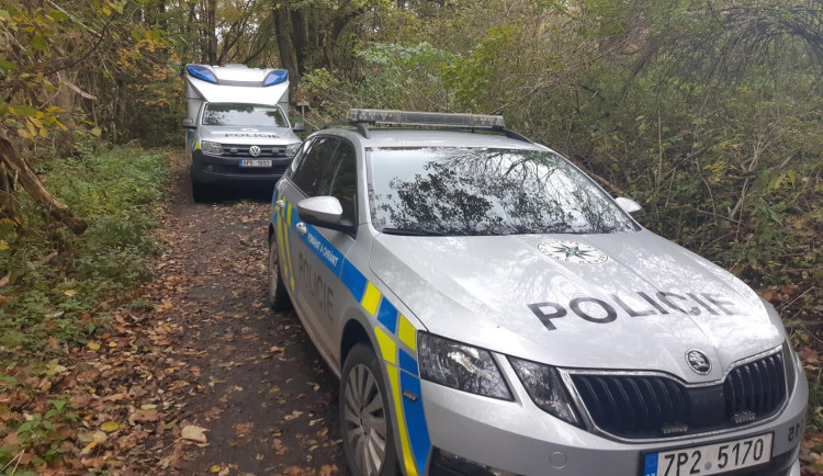 Policie na místě činu