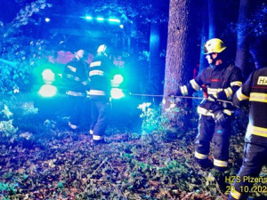 Řidič skočil s elektromobilem do rybníku. Auto dokázalo uplavat 100 metrů, téměř až ke druhému břehu