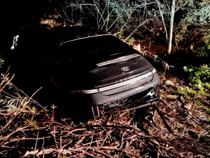 Řidič skočil s elektromobilem do rybníku. Auto dokázalo uplavat 100 metrů, téměř až ke druhému břehu