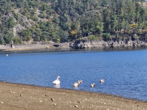 V obří přehradě poklesla hladina o šest metrů. Důvodem je oprava vodní elektrárny umístěné v její hrázi
