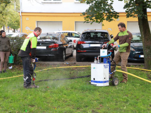 Stoletý jasan dostal speciální půdní výživu, infuze přímo ke kořenům ho ochrání před škůdci a chorobami
