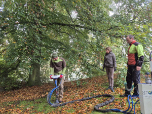 Stoletý jasan dostal speciální půdní výživu, infuze přímo ke kořenům ho ochrání před škůdci a chorobami