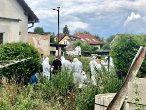 Majitelka otřesné množírny psů neuspěla se stížností u Ústavního soudu, podmínka za týrání stále platí