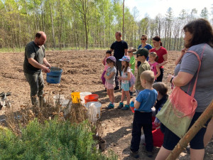 Lidé se mohou zapojit do obnovy městského lesa, lesníci připravili tisíce sazenic borovice