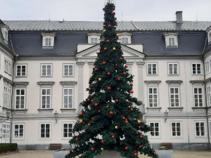 Zatímco některá města svůj vánoční strom stále hledají, Tachov už ho má i ozdobený