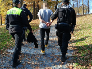 Pořádně rozjetý vandal s klackem v ruce demoloval u aut zpětná zrcátka. Důvodem byly osobní problémy doma