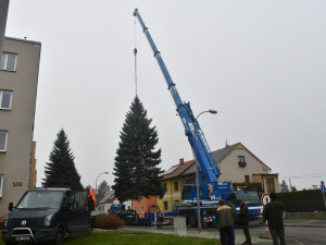 V Hřbitovní ulici rostl až do pondělního rána vánoční strom pro plzeňské náměstí Republiky. Večer už bude stát na svém místě