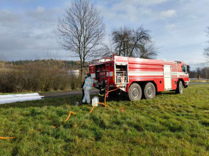Veterináři likvidují chov zasažený ptačí chřipkou. Usmrtí 13 tisíc kusů drůbeže, hlavně kachny