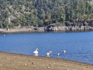 Takto vypadala snížená hladina vody v přehradě