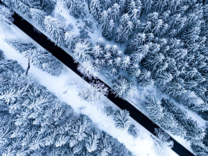 Unikátní snímek Českého lesa zabodoval ve fotosoutěži, autor ho vytvořil s pomocí dronu