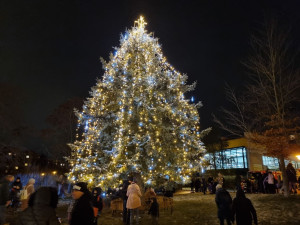 Rozsvícení stromů na Jedničce letos doplní živá hudba i tichý ohňostroj. Děti se dozví výsledky výtvarné soutěže
