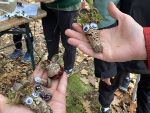 Malí i velcí Plzeňané na podzim vysázeli tisíce stromků. Městský les V Pytli ožil po kůrovcové kalamitě