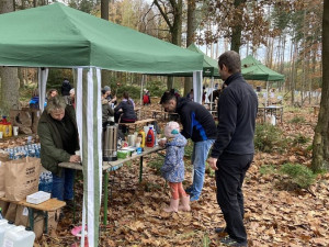 Malí i velcí Plzeňané na podzim vysázeli tisíce stromků. Městský les V Pytli ožil po kůrovcové kalamitě