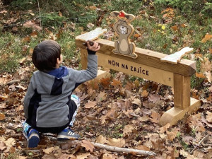 Malí i velcí Plzeňané na podzim vysázeli tisíce stromků. Městský les V Pytli ožil po kůrovcové kalamitě