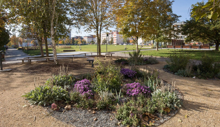 Stromy, hřiště, psí loučka i kavárna. Louka za školou prošla proměnou za 23,5 milionů korun