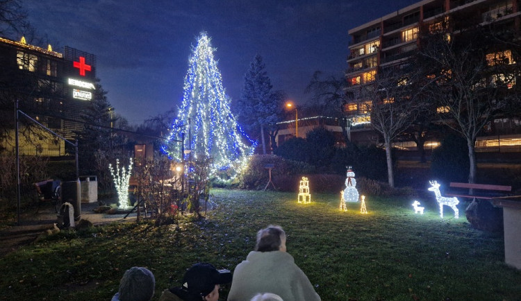Senioři ze Čtyřlístku si užili rozsvícení vánočního stromečku, během svátků tam pečou i cukroví nebo soutěží o nej bramborový salát
