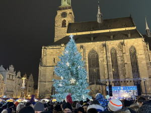 Vánoční strom poprvé rozzářil zcela zaplněné plzeňské náměstí Republiky. Stříbrný smrk rostl původně v Hřbitovní ulici